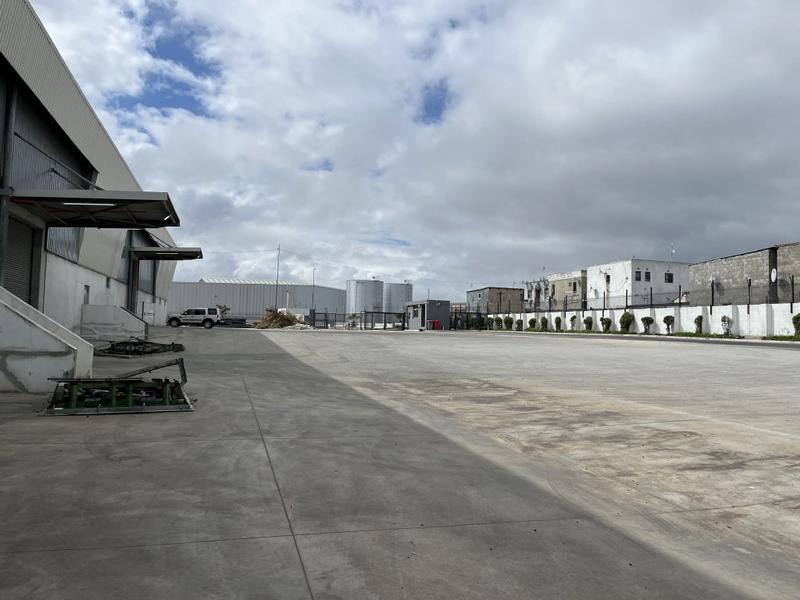 To Let commercial Property for Rent in Montague Gardens Western Cape